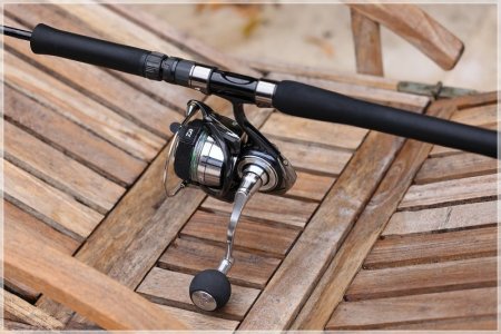 C85A1436.comp.jpg C85A1436.comp.jpg