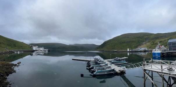 IMG_7994.jpeg