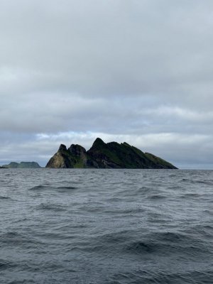 IMG_3565.jpeg
