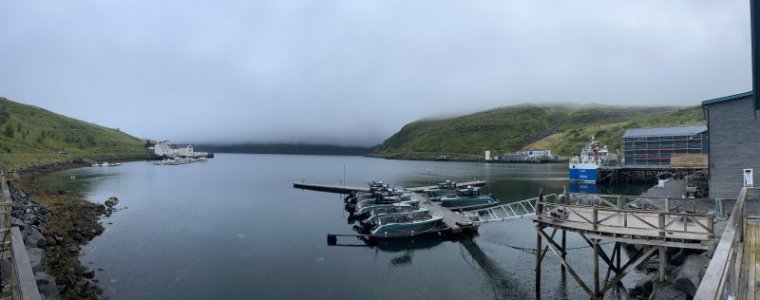 IMG_8022.jpeg
