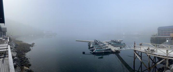 IMG_8046.jpeg