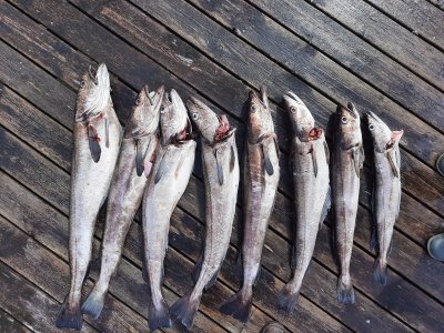 20230727_113535 (2).jpg