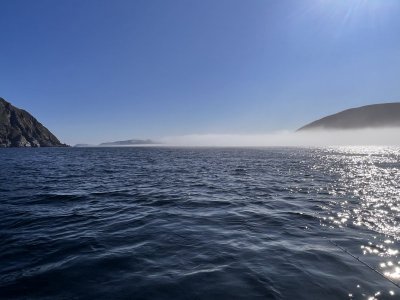 IMG_8047.jpeg