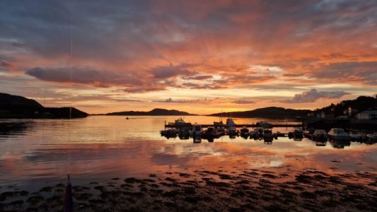 4A8FE3EC-833E-43B1-A833-D3D321D07BD0.jpeg 4A8FE3EC-833E-43B1-A833-D3D321D07BD0.jpeg