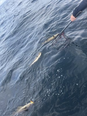 668C838C-B1AB-4343-8DD9-831F3EC82B22.jpeg 668C838C-B1AB-4343-8DD9-831F3EC82B22.jpeg