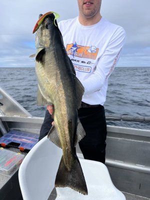 85CFD749-B65E-40EF-8E1E-2D89D9D0C2E5.jpeg 85CFD749-B65E-40EF-8E1E-2D89D9D0C2E5.jpeg