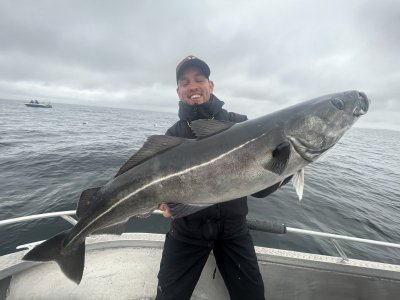 8C3F4DA8-C4AE-4F75-93FC-AA55E7716047.jpeg 8C3F4DA8-C4AE-4F75-93FC-AA55E7716047.jpeg