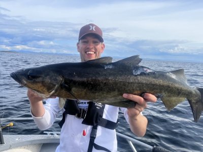 28336417-C2C2-44DC-B14F-6EBD37AF0F71.jpeg 28336417-C2C2-44DC-B14F-6EBD37AF0F71.jpeg