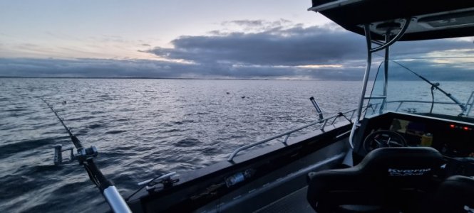 20230803_225610.jpg 20230803_225610.jpg