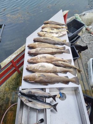 20230502_104343.jpg 20230502_104343.jpg