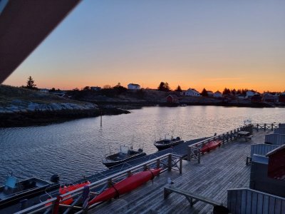 20230505_043012.jpg 20230505_043012.jpg