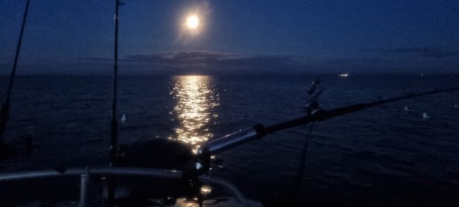 20230804_004736.jpg 20230804_004736.jpg