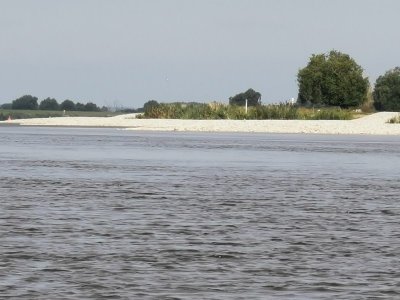 IMG-20230805-WA0005.jpg IMG-20230805-WA0005.jpg