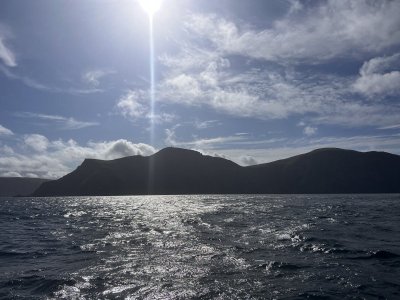 IMG_8206.jpeg