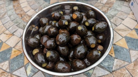 PXL_20230801_124016309.jpg PXL_20230801_124016309.jpg