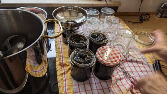 PXL_20230805_114504254.ACTION_PAN-01.COVER.jpg PXL_20230805_114504254.ACTION_PAN-01.COVER.jpg