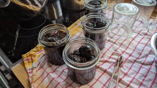 PXL_20230805_114926653.jpg PXL_20230805_114926653.jpg