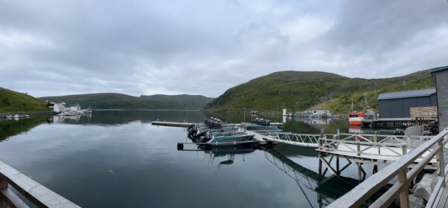 IMG_8243.jpeg