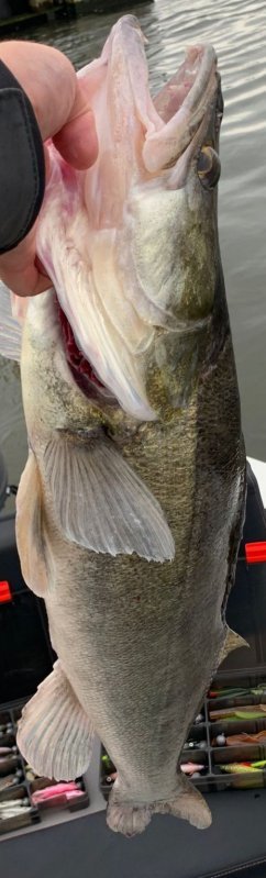 IMG-20230725-0016.jpg IMG-20230725-0016.jpg