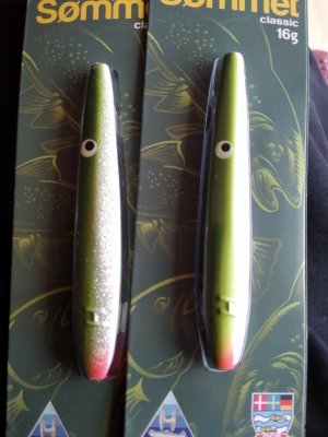 IMG_20230809_201339.jpg IMG_20230809_201339.jpg