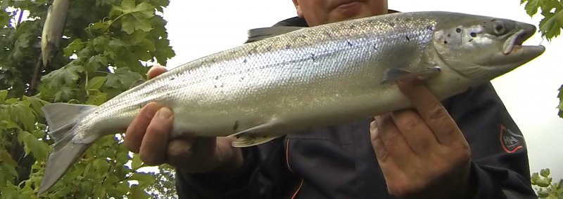 G0532673b.JPG G0532673b.JPG