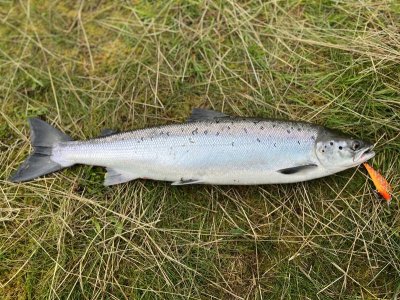 IMG_8012.jpg IMG_8012.jpg