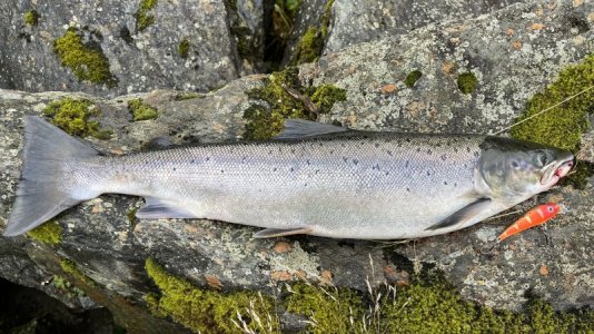 IMG_8063.jpg IMG_8063.jpg