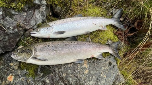 IMG_8024.jpg IMG_8024.jpg