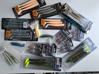 20230809_202023.jpg 20230809_202023.jpg