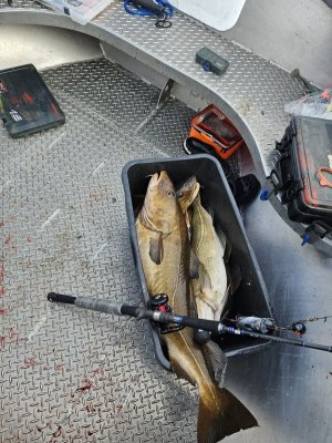 20230811_161654.jpg 20230811_161654.jpg