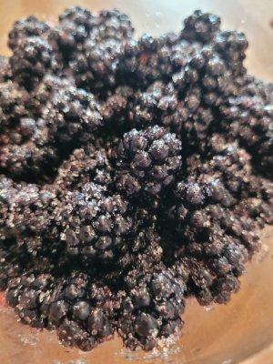 20230808_132939_1.jpg 20230808_132939_1.jpg