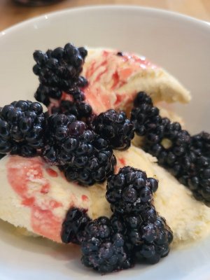 20230808_133112.jpg 20230808_133112.jpg