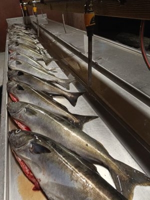 IMG-20230812-WA0026.jpg IMG-20230812-WA0026.jpg