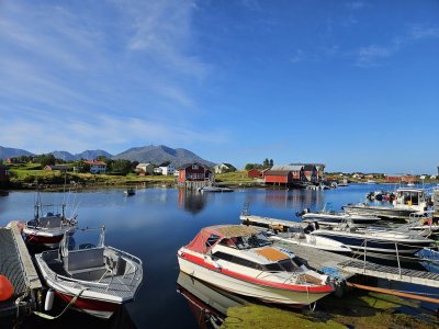 20230813_100910.jpg 20230813_100910.jpg