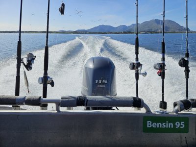 20230813_105644.jpg 20230813_105644.jpg