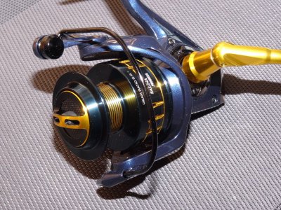 DSC02739.JPG DSC02739.JPG