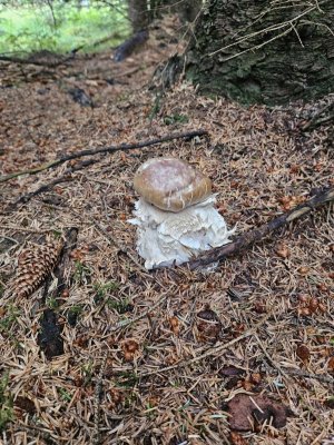 20230814_114744.jpg 20230814_114744.jpg