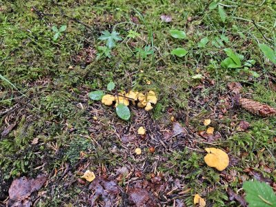 20230814_111415.jpg 20230814_111415.jpg