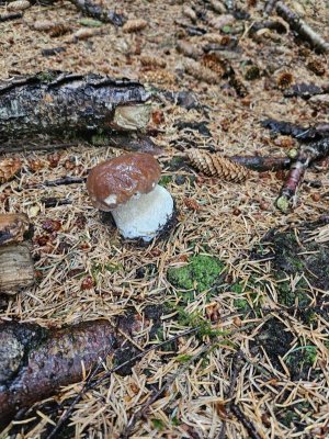 20230814_110731.jpg 20230814_110731.jpg