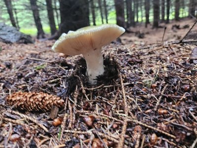 20230814_120030.jpg 20230814_120030.jpg