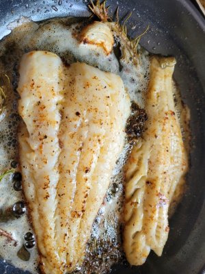 20230813_120057.jpg 20230813_120057.jpg