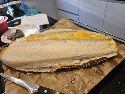 20230813_192216.jpg 20230813_192216.jpg