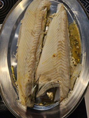 20230813_192527.jpg 20230813_192527.jpg