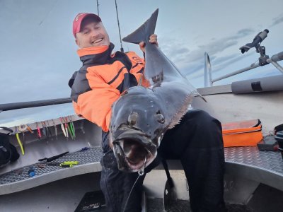 20230814_220215.jpg 20230814_220215.jpg