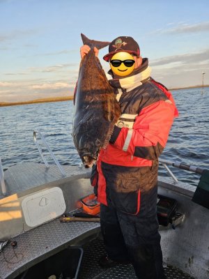 20230815_221817.jpg 20230815_221817.jpg