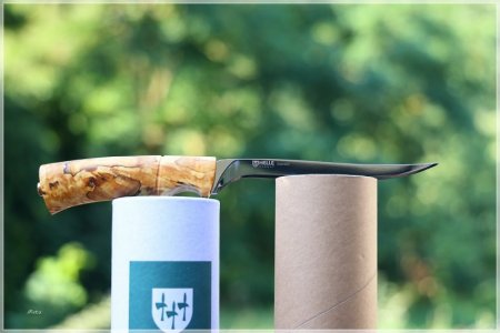 C85A1615.comp.jpg C85A1615.comp.jpg