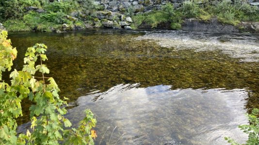 IMG_8165.jpg IMG_8165.jpg