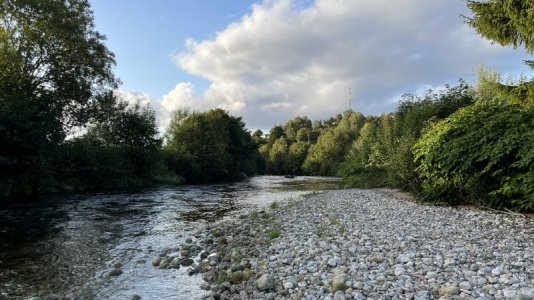 IMG_8168.jpg IMG_8168.jpg