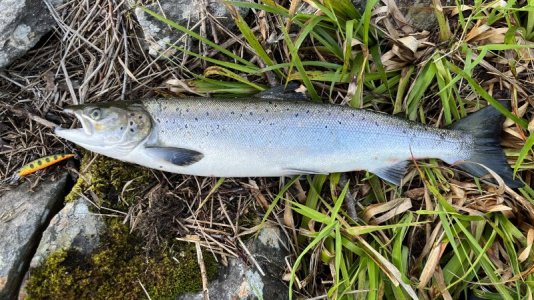 IMG_8170.jpg IMG_8170.jpg