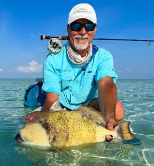 WhatsApp Image 2023-08-24 at 06.43.58 (1).jpeg WhatsApp Image 2023-08-24 at 06.43.58 (1).jpeg